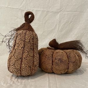 Fall Home Decor - Lightweight Brown Squash